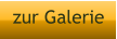 zur Galerie
