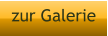 zur Galerie