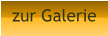zur Galerie